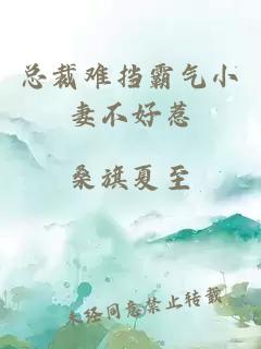 总裁难挡霸气小妻不好惹