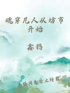魂穿凡人从坊市开始