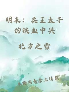 明末：兵王太子的铁血中兴