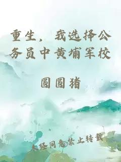 重生，我选择公务员中黄埔军校