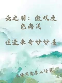 云之羽：徵叹夜色尚浅