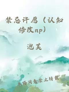 禁忌许愿（认知修改np）