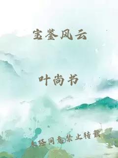 宝鉴风云