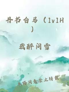 丹书白马（1v1H）