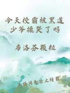 今天校霸被黑道少爷操哭了吗