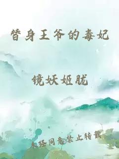 替身王爷的毒妃