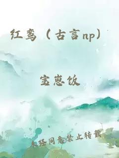 红鸾（古言np）