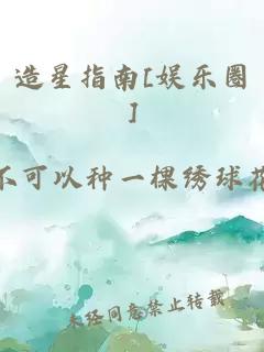 造星指南[娱乐圈]