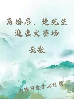 离婚后，楚先生追妻火葬场