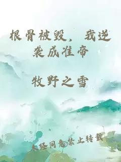 根骨被毁，我逆袭成准帝