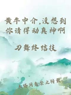 黄牛中介,没想到你请得动真神啊