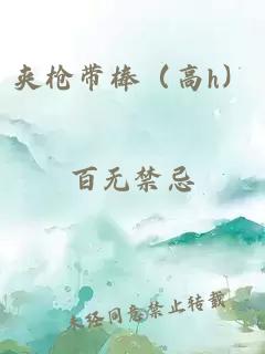 夹枪带棒（高h）