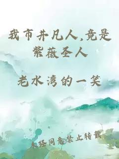 我市井凡人,竟是紫薇圣人