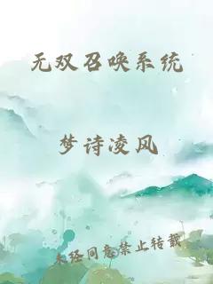 无双召唤系统
