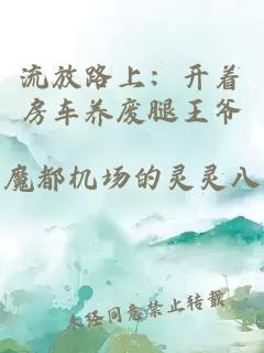 流放路上：开着房车养废腿王爷
