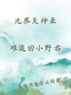 九界天神录