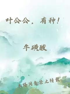 叶公公，有种！