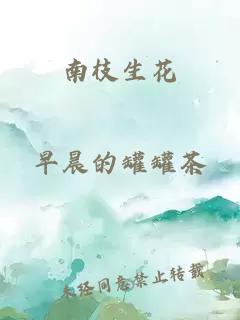南枝生花