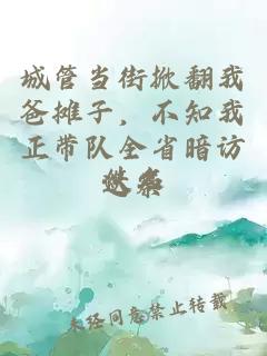 城管当街掀翻我爸摊子，不知我正带队全省暗访巡察