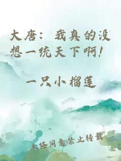 大唐：我真的没想一统天下啊！