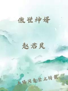 傲世神婿