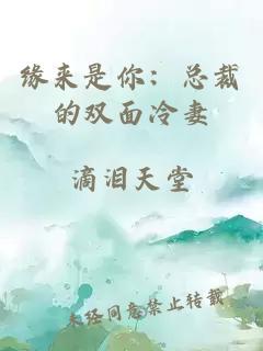 缘来是你：总裁的双面冷妻