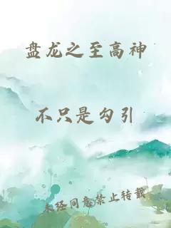 盘龙之至高神