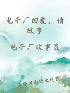 电子厂的爱，情故事