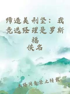 缔造美利坚：我竞选经理是罗斯福