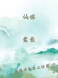 仙嫁