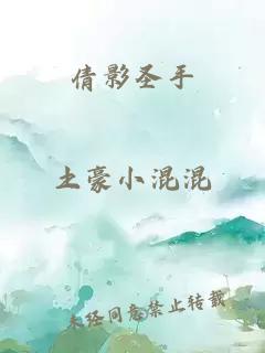倩影圣手