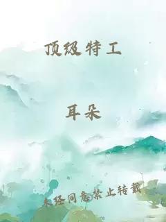 顶级特工