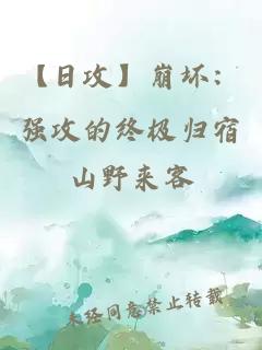 【日攻】崩坏：强攻的终极归宿