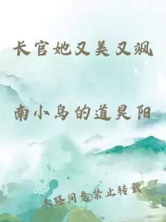 长官她又美又飒