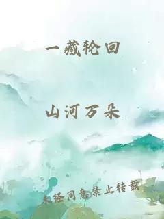 一藏轮回